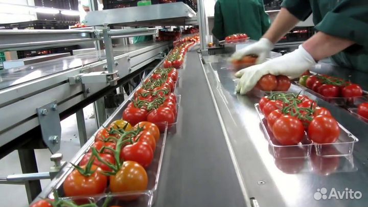 Фасовщик овощей питание и проживание