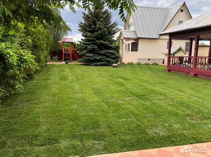 Укладка газона