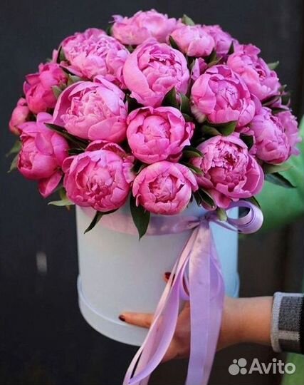Пионы Букет пионов