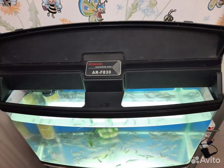 Аквариум Juwel Lido на 120 литров