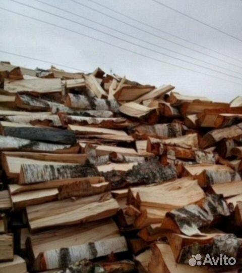Дрова береза