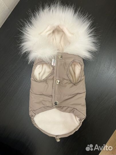 Одежда для собак мелких пород