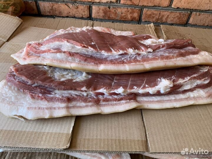 Пузовина домашняя