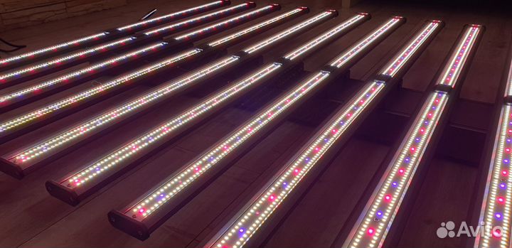 Quantum board Квантум борд 1000w samsung uv ir