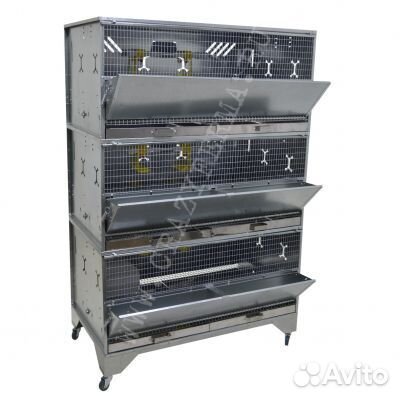 Клетки для выращивания бройлеров