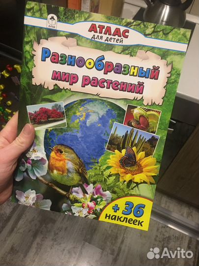 Энциклопедия «разнообразный мир растений»