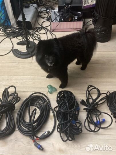 Кабель спикон