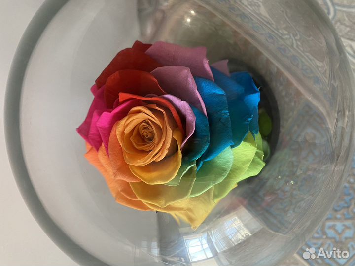 Роза в колбе