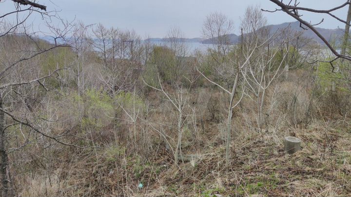 Участок 30 сот. (ИЖС)