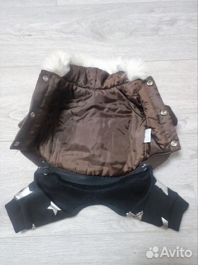 Одежда для собак