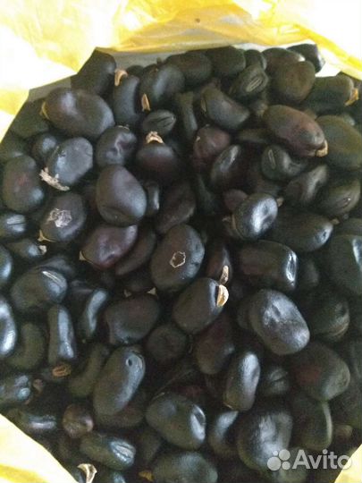 Бобы. фасоль