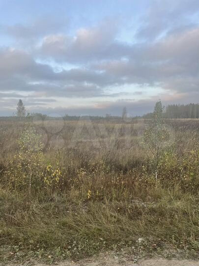 Участок 200 га (СНТ, ДНП)