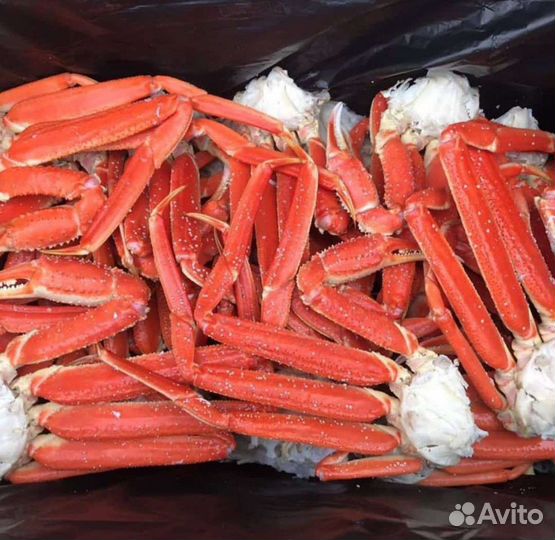 Краб Стригун конечности коробка 4 кг