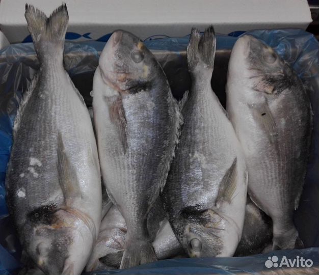 Дорадо (сухая заморозка)