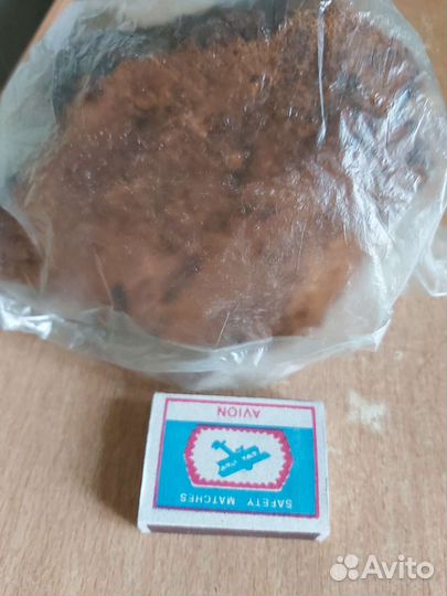 Шоколадный йорк Гриб Чага