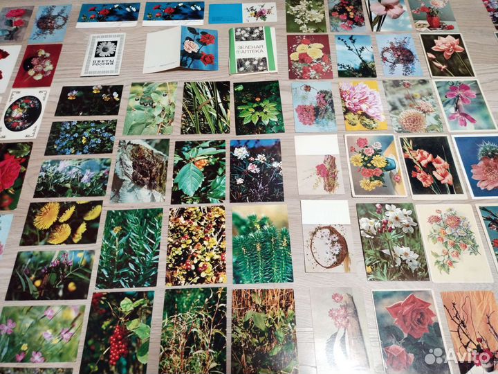 Открытки цветы 200 штук СССР разом