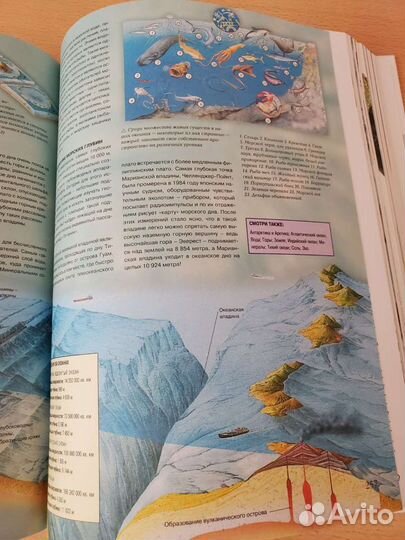 Энциклопедия 