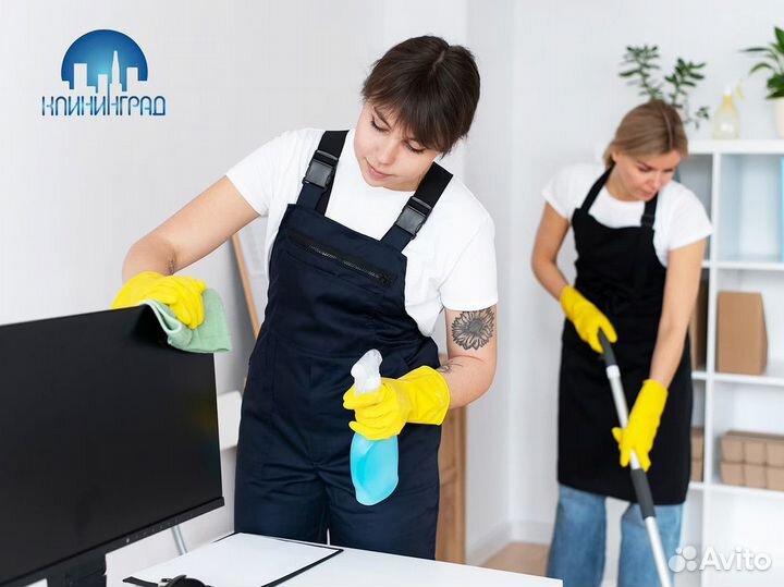 Бизнес премиальные услуг клининга - «клининград»