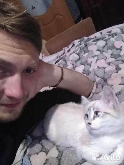 Охос азулес