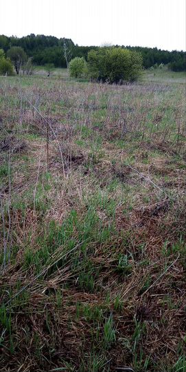 Участок 12 сот. (ИЖС)