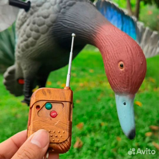 Приманка-махокрыл красноголового нырка