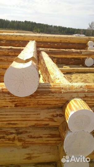 Срубы из зимнего леса