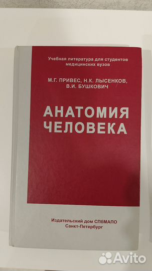 Анатомия человека Привес
