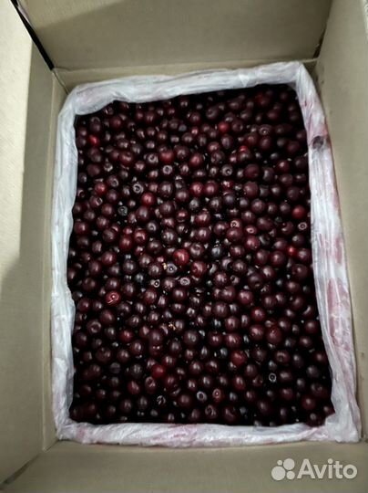 Вишня замороженная оптом