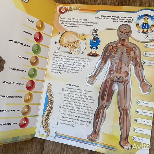 Энциклопедия для детей