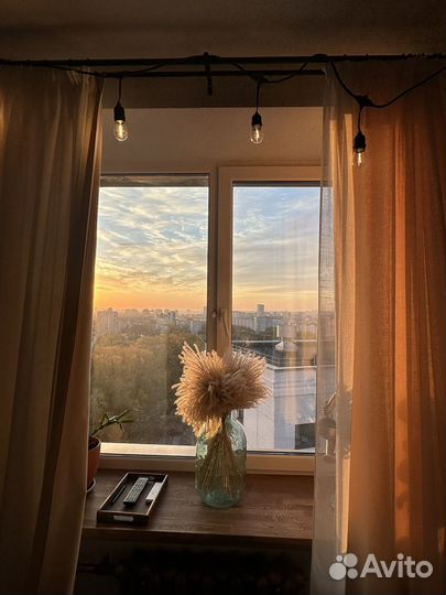 Декоративные злаки