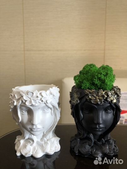 Стабилизированный мох в кашпо