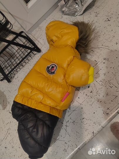 Куртка для собак мелких пород