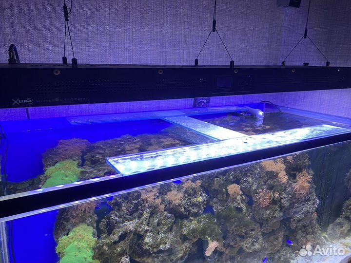 Морской аквариум с сампом