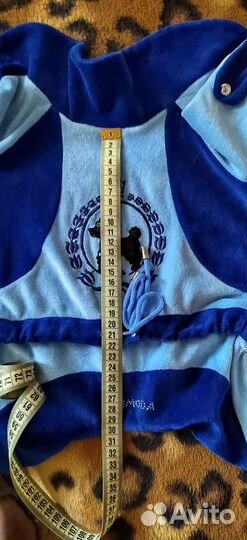 Костюм для собаки