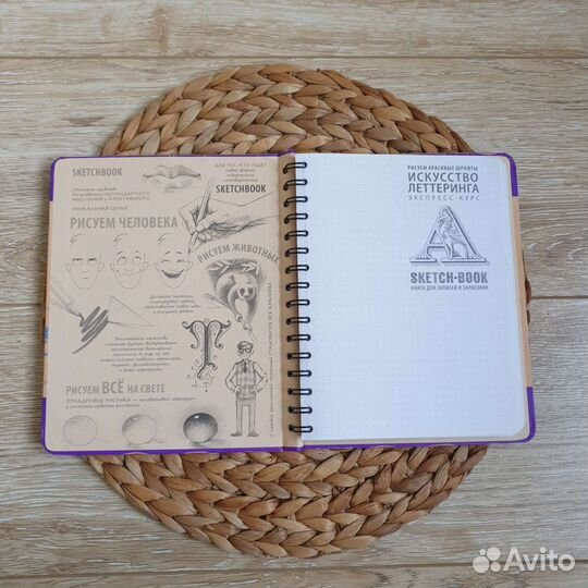 Sketchbook. Рисуем красивые шрифты. Леттеринг