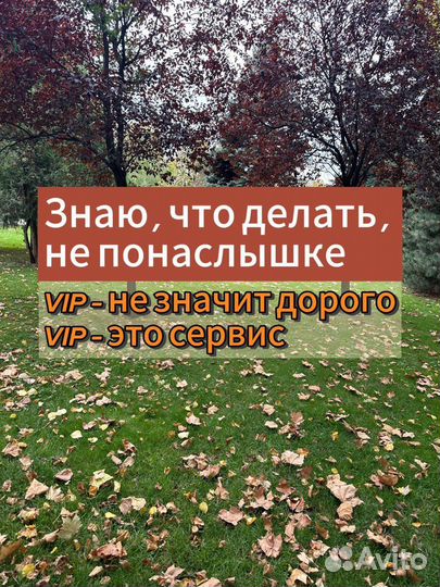 Военный юрист помощь военнослужащим г. Киров