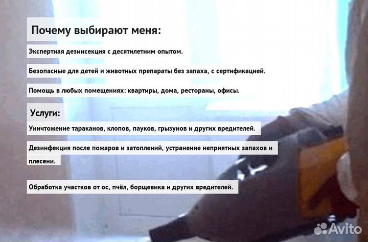 Средство против клопов