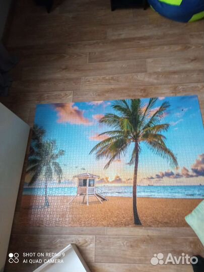 Пазлы 3000 деталей