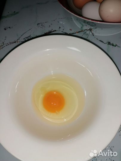 Домашние куриные яйца