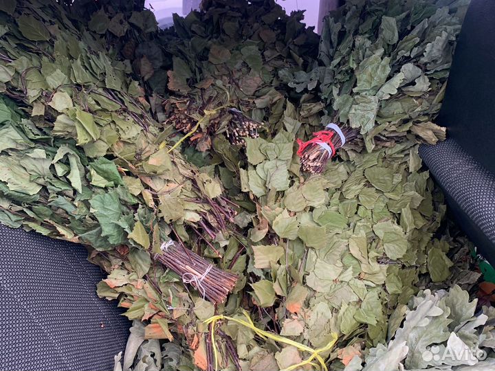 Веники для бани березовые