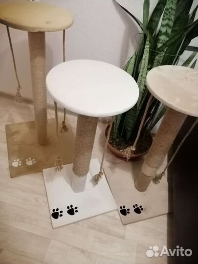 Когтеточка