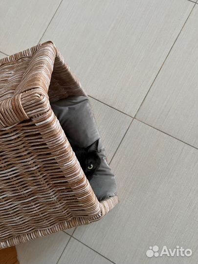 Домик для кошки собачки плетеный