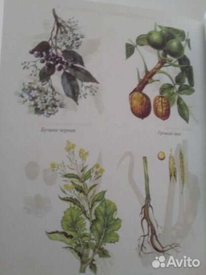 Популярный медицинский справочник