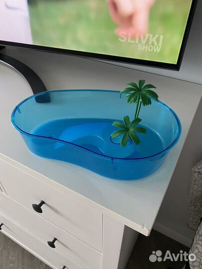 Черепашник маленький