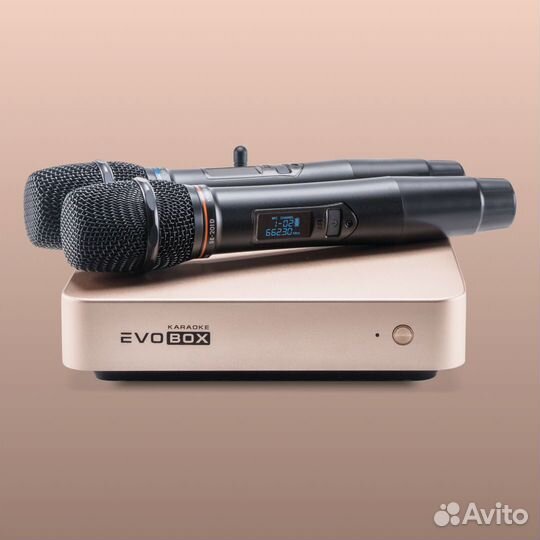 Караоке Evobox Plus золото