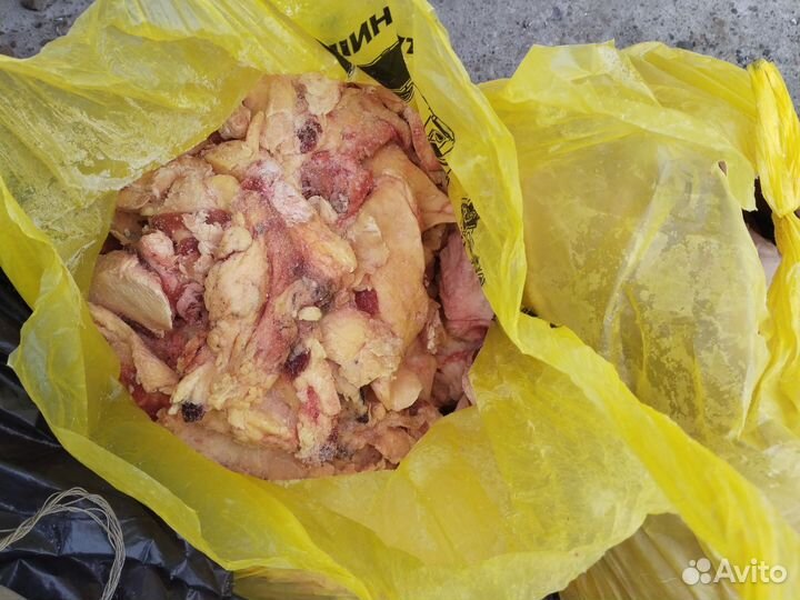 Жир кости обрези для собак