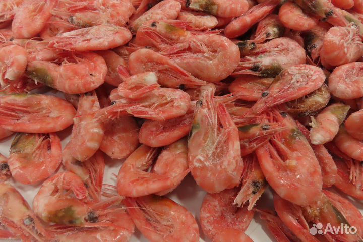 Креветка Северная Мурманск 160+