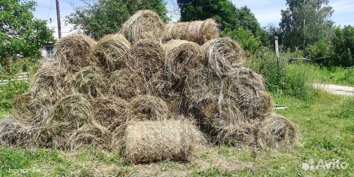 Сено в тюках