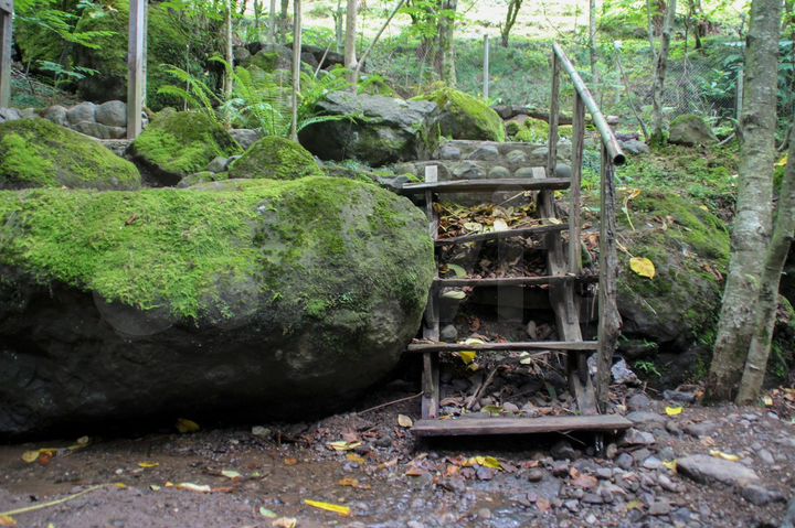 Общепит 3000 м² (Грузия)