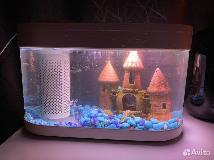 Аквариум xiaomi